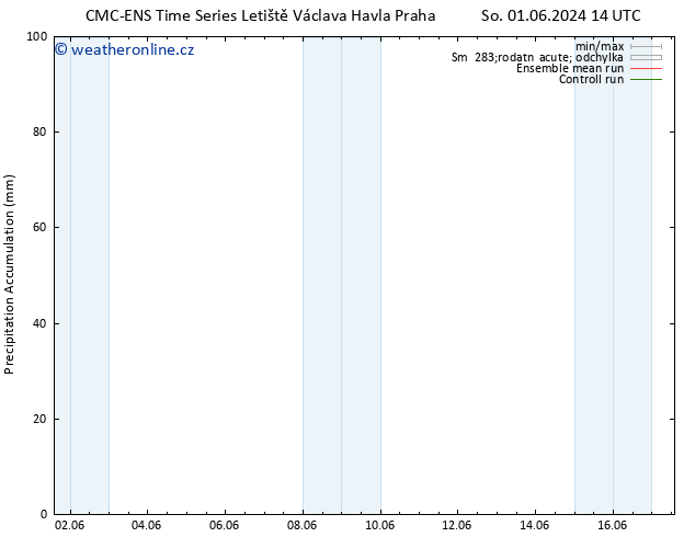 Precipitation accum. CMC TS So 01.06.2024 20 UTC