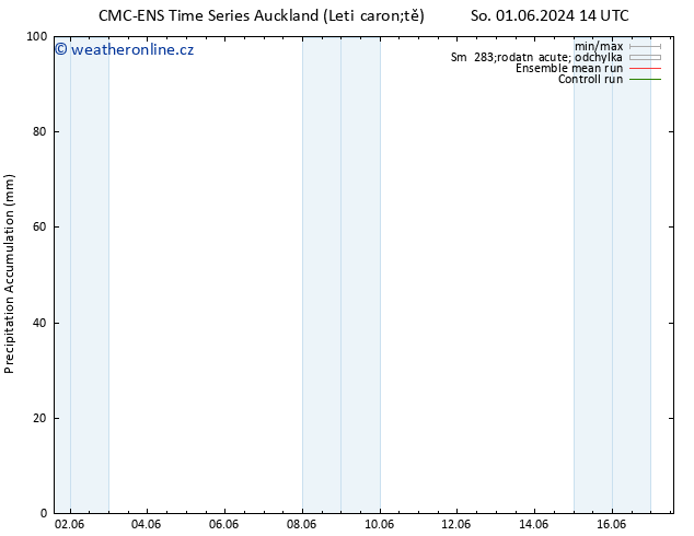 Precipitation accum. CMC TS Ne 09.06.2024 08 UTC
