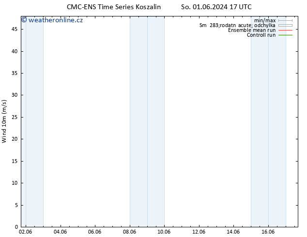 Surface wind CMC TS Út 11.06.2024 17 UTC
