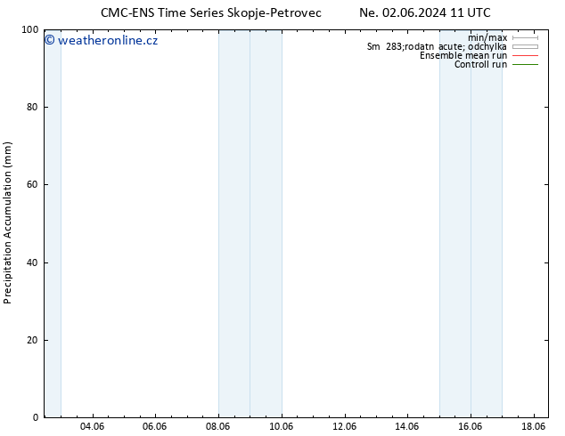 Precipitation accum. CMC TS Pá 14.06.2024 11 UTC