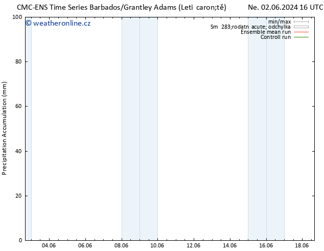 Precipitation accum. CMC TS Ne 02.06.2024 16 UTC