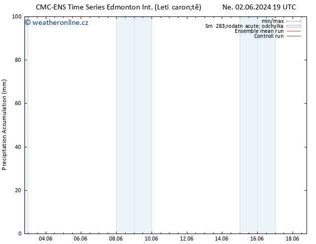 Precipitation accum. CMC TS Út 04.06.2024 13 UTC