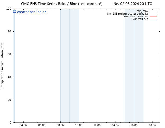 Precipitation accum. CMC TS Po 03.06.2024 20 UTC