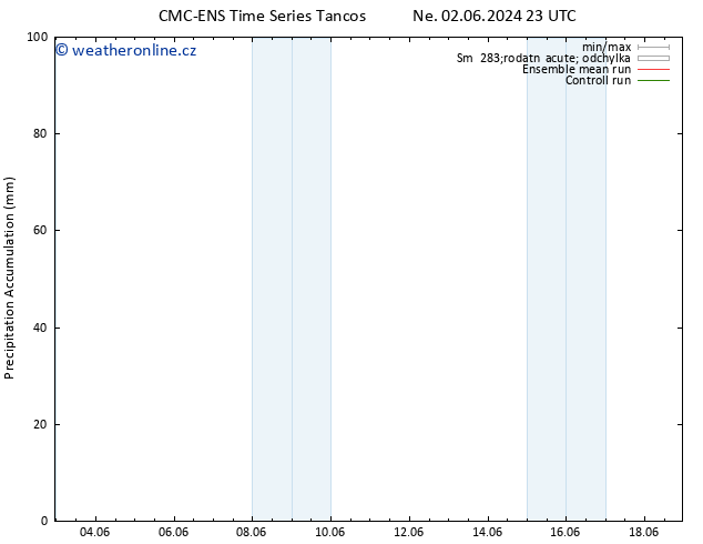 Precipitation accum. CMC TS Pá 07.06.2024 11 UTC