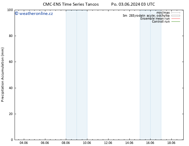 Precipitation accum. CMC TS St 12.06.2024 03 UTC
