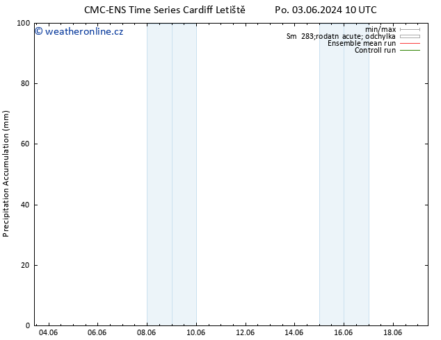 Precipitation accum. CMC TS Po 03.06.2024 16 UTC