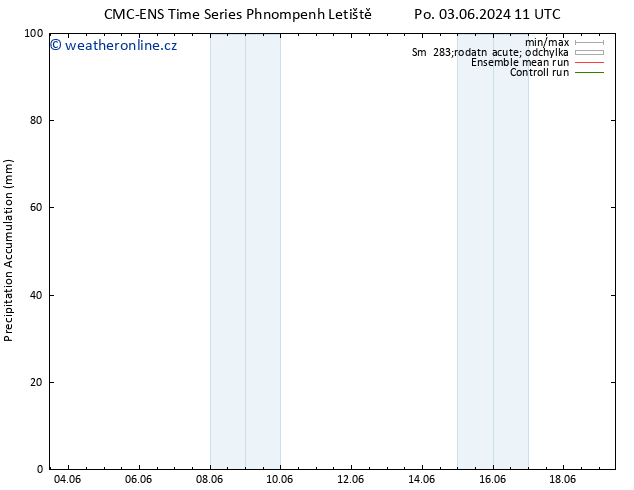 Precipitation accum. CMC TS Pá 07.06.2024 11 UTC