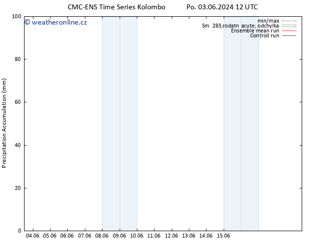 Precipitation accum. CMC TS Pá 07.06.2024 12 UTC