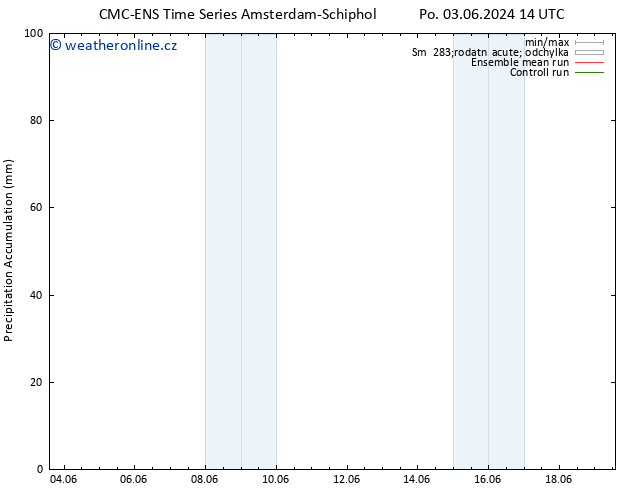 Precipitation accum. CMC TS St 05.06.2024 08 UTC