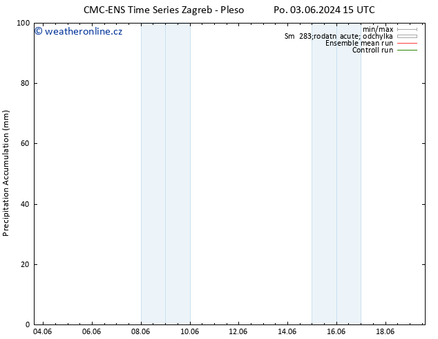 Precipitation accum. CMC TS Po 03.06.2024 21 UTC