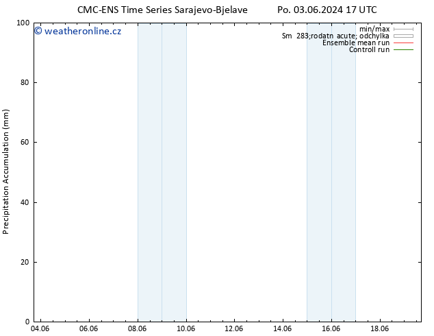 Precipitation accum. CMC TS Út 04.06.2024 17 UTC