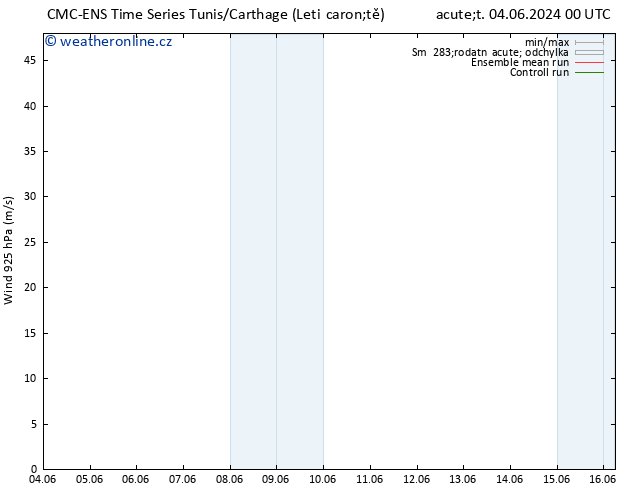 Wind 925 hPa CMC TS Út 04.06.2024 18 UTC