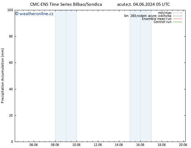 Precipitation accum. CMC TS Út 04.06.2024 17 UTC