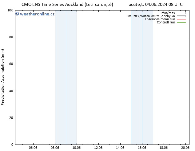 Precipitation accum. CMC TS Čt 13.06.2024 20 UTC