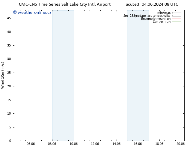 Surface wind CMC TS Út 04.06.2024 20 UTC