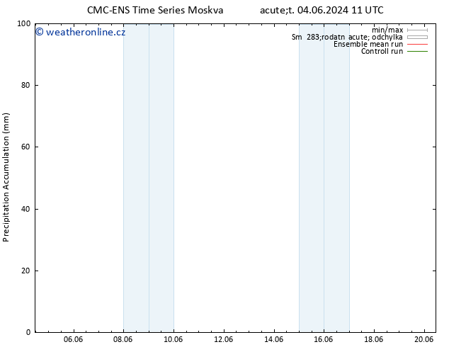 Precipitation accum. CMC TS Út 04.06.2024 17 UTC