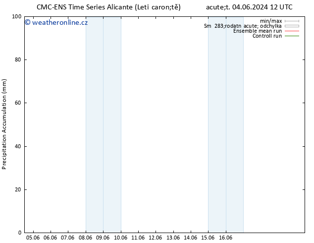 Precipitation accum. CMC TS Út 04.06.2024 18 UTC