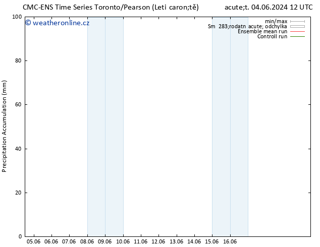 Precipitation accum. CMC TS St 12.06.2024 00 UTC