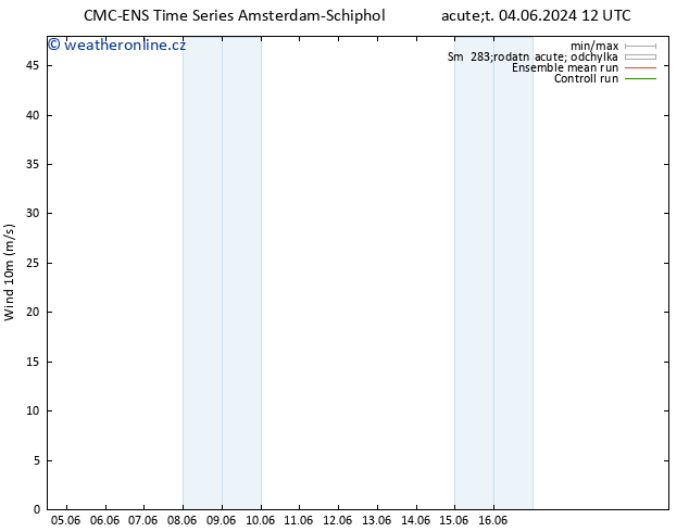 Surface wind CMC TS St 12.06.2024 06 UTC