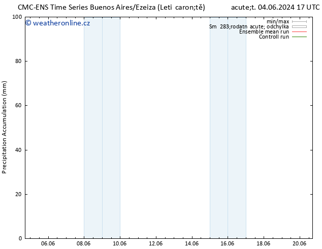 Precipitation accum. CMC TS Ne 16.06.2024 23 UTC