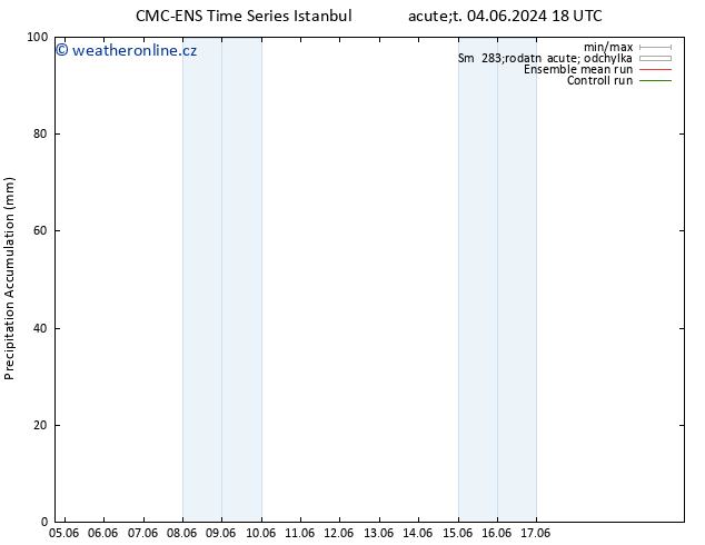 Precipitation accum. CMC TS St 05.06.2024 06 UTC
