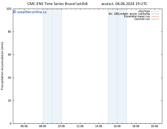 Precipitation accum. CMC TS Pá 07.06.2024 01 UTC