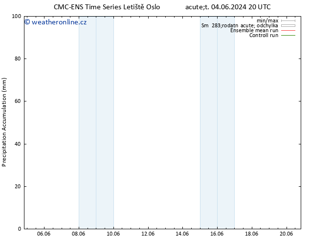 Precipitation accum. CMC TS Út 04.06.2024 20 UTC