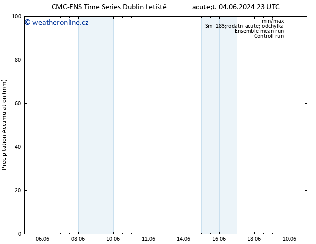 Precipitation accum. CMC TS So 08.06.2024 11 UTC