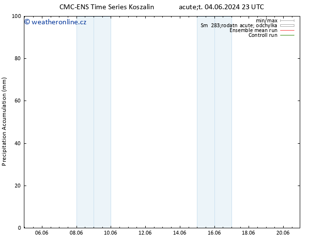 Precipitation accum. CMC TS St 05.06.2024 23 UTC