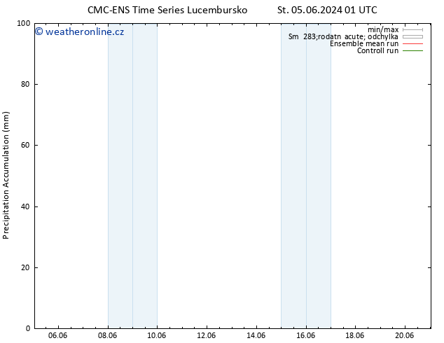 Precipitation accum. CMC TS St 05.06.2024 19 UTC