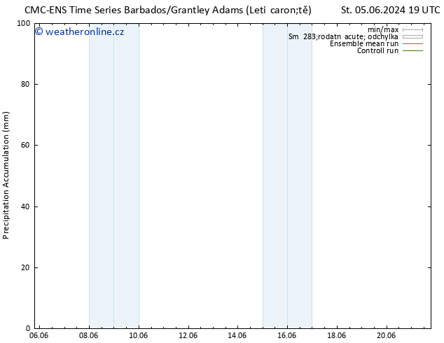 Precipitation accum. CMC TS St 05.06.2024 19 UTC