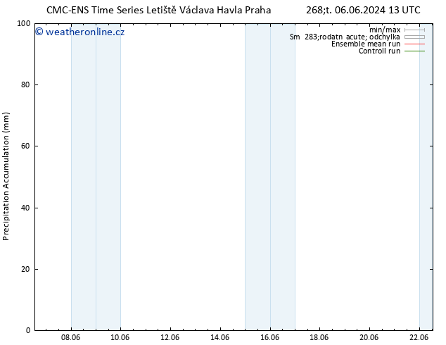 Precipitation accum. CMC TS Čt 06.06.2024 19 UTC