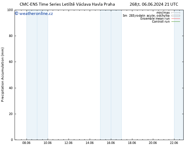 Precipitation accum. CMC TS Pá 07.06.2024 21 UTC