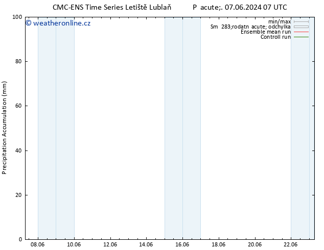 Precipitation accum. CMC TS So 08.06.2024 13 UTC