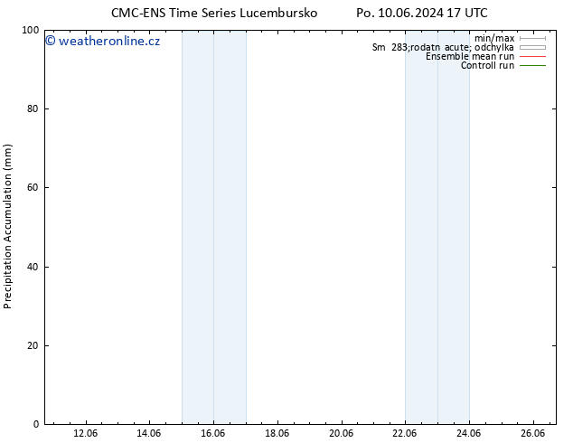 Precipitation accum. CMC TS So 22.06.2024 17 UTC