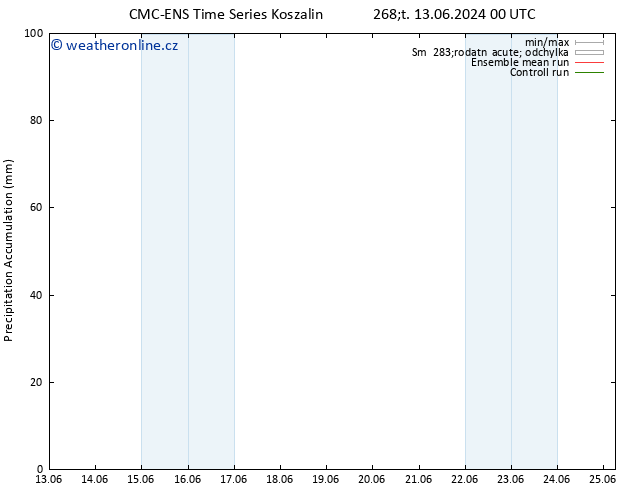 Precipitation accum. CMC TS Pá 14.06.2024 18 UTC