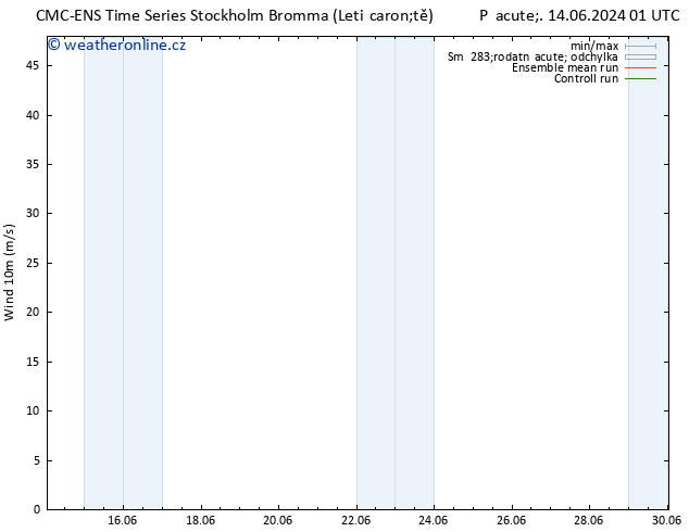 Surface wind CMC TS St 19.06.2024 07 UTC