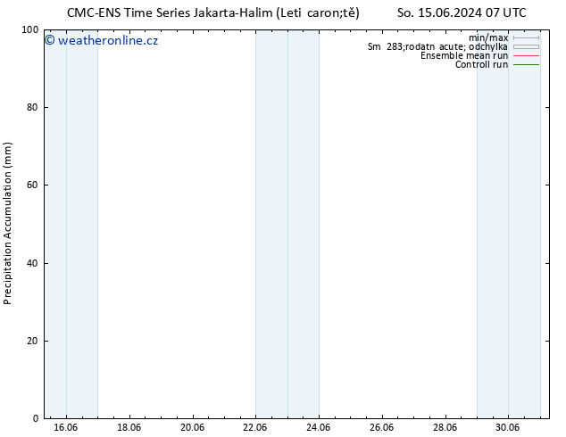 Precipitation accum. CMC TS So 22.06.2024 07 UTC