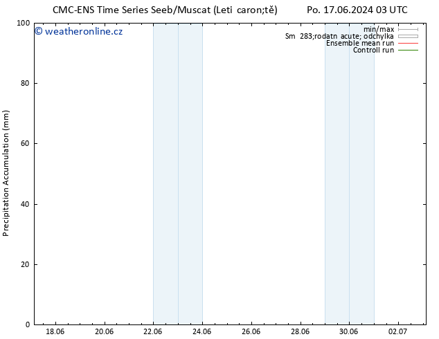 Precipitation accum. CMC TS Po 17.06.2024 03 UTC
