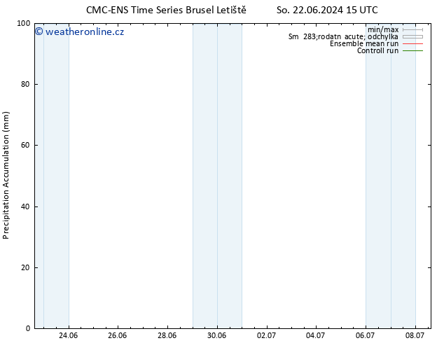 Precipitation accum. CMC TS Út 25.06.2024 15 UTC