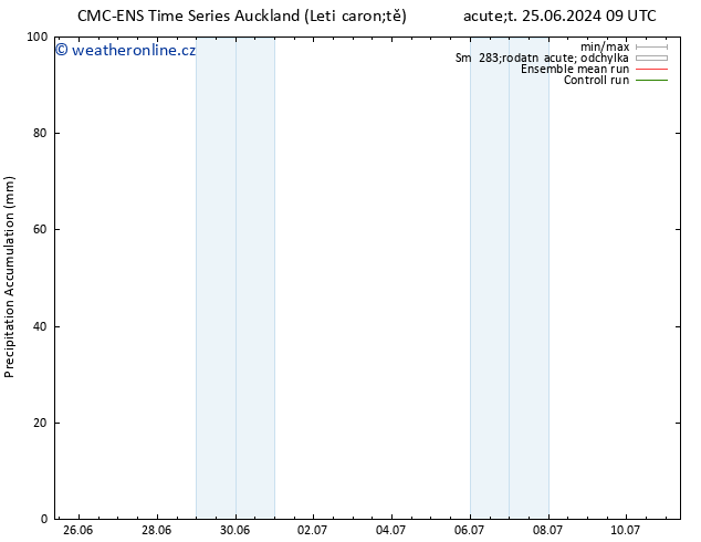 Precipitation accum. CMC TS St 26.06.2024 09 UTC