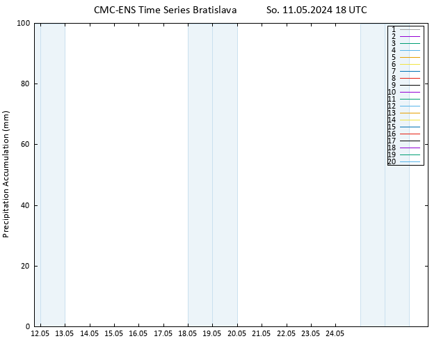 Precipitation accum. CMC TS So 11.05.2024 18 UTC