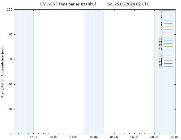 Precipitation accum. CMC TS So 25.05.2024 02 UTC