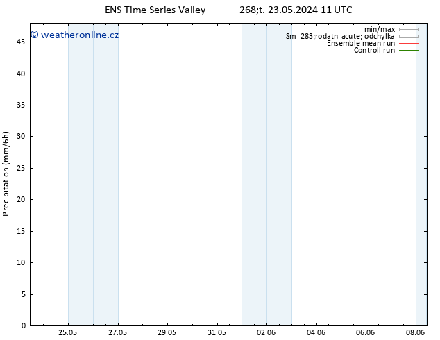 Srážky GEFS TS Čt 23.05.2024 17 UTC