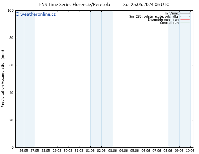 Precipitation accum. GEFS TS So 25.05.2024 12 UTC