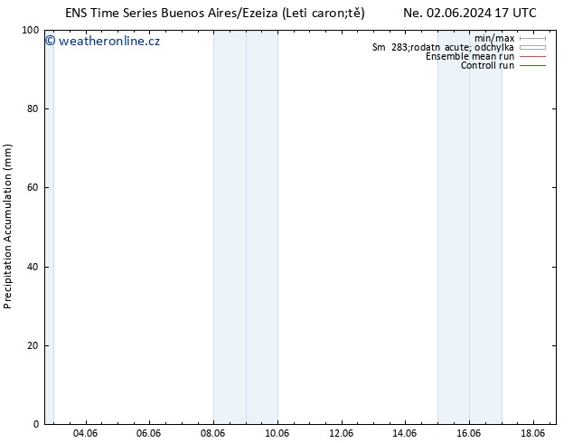 Precipitation accum. GEFS TS So 08.06.2024 23 UTC