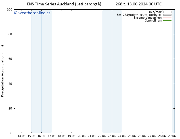 Precipitation accum. GEFS TS Čt 13.06.2024 18 UTC