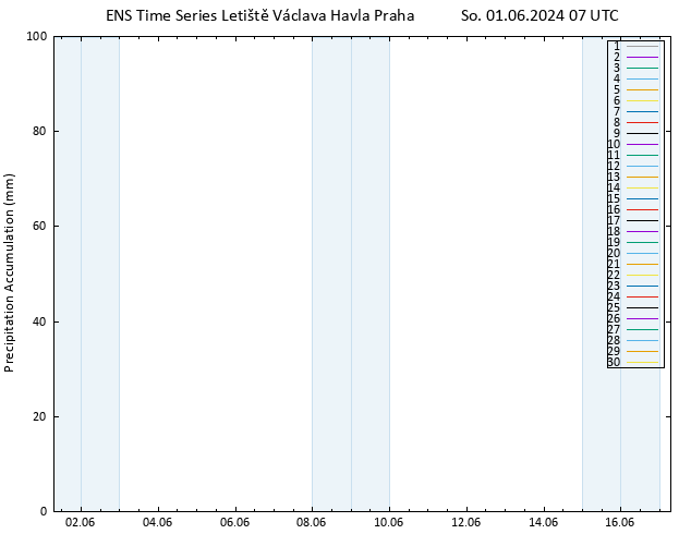 Precipitation accum. GEFS TS So 01.06.2024 13 UTC