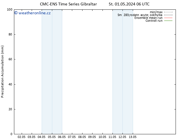 Precipitation accum. CMC TS St 08.05.2024 18 UTC