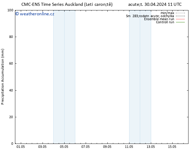 Precipitation accum. CMC TS Pá 10.05.2024 11 UTC